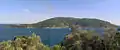 L’île Palmaria vue de la montée des Oliviers de Portovenere