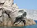 Côte rocheuse dans le sud-est