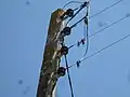 Isolateurs d'arrêt sur une ligne basse tension cuivre nu.