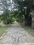 Chemin piéton dans l'arboretum.