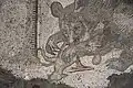 Un ours et sa proie