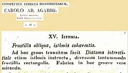 Le genre Isthmia d'après C.Agardh.