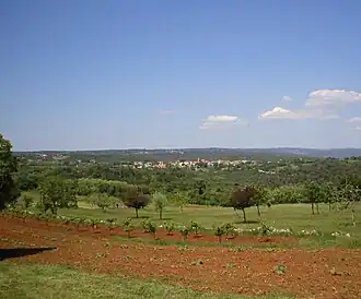 Puntera