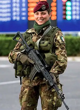 Image illustrative de l'article Beretta AR 70/90