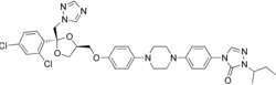 Image illustrative de l’article Itraconazole