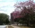 Quartier d'Itumbiara.