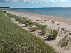 Bord de mer.