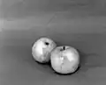 1982, Les Fruits du Jardin.