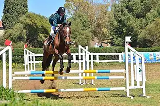 Saut d'obstacles.