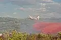 Tracker S2F larguant un retardant sur le Camp des Garrigues en 2006