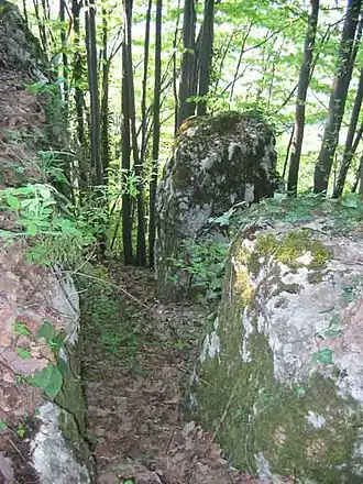Mezgraja (Ugljevik)