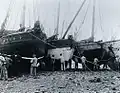 Marins passant du coaltar sur leurs bateaux, des sloups langoustiers, à marée basse (photo prise par Jacques de Thézac au printemps 1934)