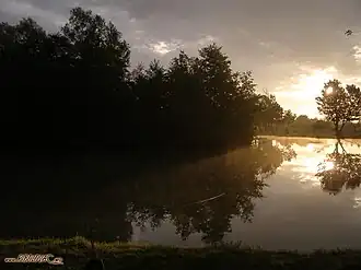 Stupnik