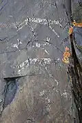 Loup turc (symbole des Göktürk) et runes.