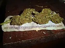 Sativa jamaïcaine