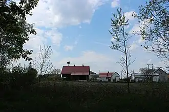Jamniki
