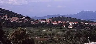 Janjina