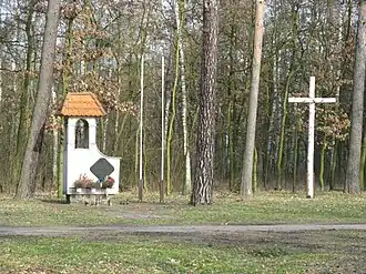 Janowo (Dominowo)