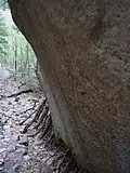 Photo couleur : gros plan d'un bloc rocheux de couleur brune, soutenu par des bouts de bois (à droite), et d'un chemin pierreux de montagne (à gauche), une forêt en arrière-plan (partie gauche).