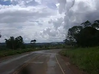 Jaru