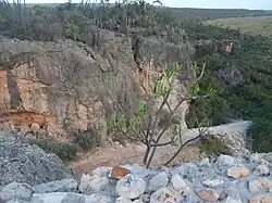 Climat semi-aride dans la province de Pedernales, les forêts sèches d'Hispaniola, la République dominicaine et Haïti.