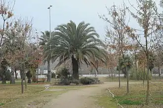 Riolobos