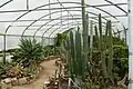 La serre du jardin exotique.