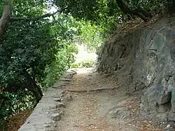 Le jardin Romieu