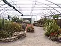 Le jardin botanique.