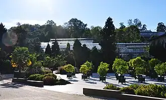 Les serres du jardin botanique du Montet