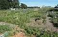 Le jardin communautaire.