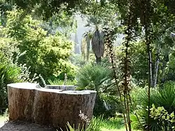 Jardin d'Australie