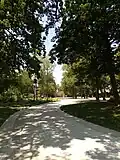 Allée ombragée du jardin du Mail, été 2021