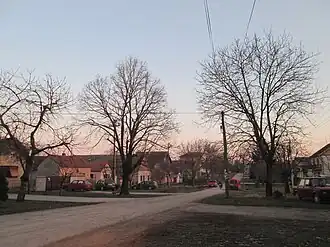 Jarkovci
