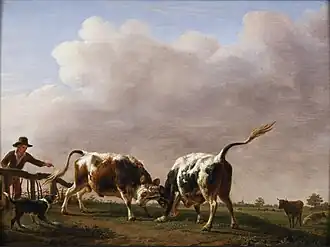 Combat de jeunes taureaux (1836), Cherbourg-Octeville, musée Thomas-Henry.