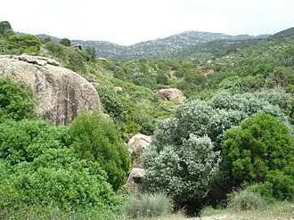 Paysage du djebel Korbous dans le cap Bon.