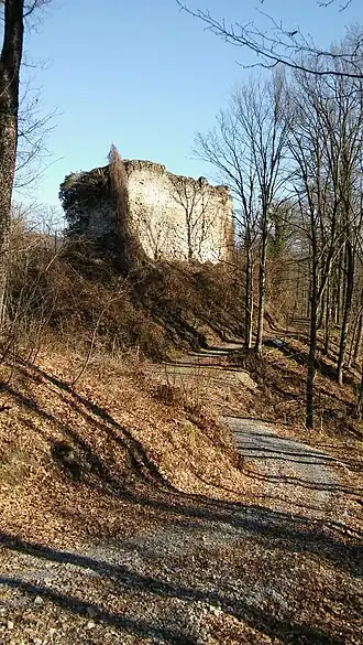 Gornja Jelenska