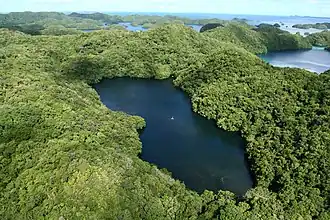 Image illustrative de l’article Lac aux Méduses