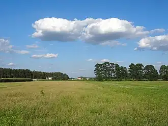 Jeżewice (Couïavie-Poméranie)