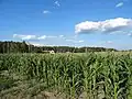 Vue sur Jeżewice.