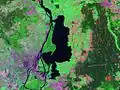Satellitenbild des Dammschen Sees