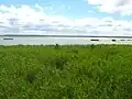 Lac Gardno