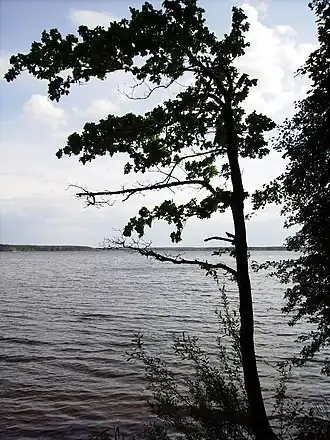 Barkowice Mokre