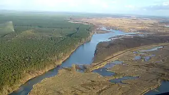 Krzesin (Lubusz)