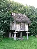 Grenier de l'âge du fer à Asnapio