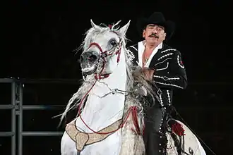 Image illustrative de l’article Cheval au Mexique