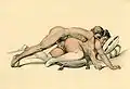Position sexuelle