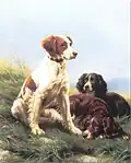 Épagneuls