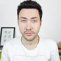 Vidéaste Web