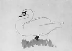 Cygnes sur l'herbe